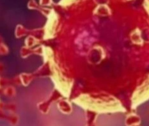 பிரதிநிதித்துவப் படம்