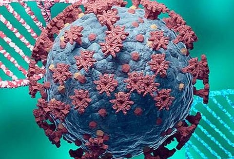 பிரதிநிதித்துவப் படம்