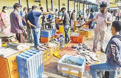 வேலூரில் சில்லறை மீன் விற்பனை கடைகள் மக்கான் அருகேயுள்ள தற்காலிக பேருந்து நிலைய வளாகத்தில் நேற்று முதல் இடமாற்றம் செய்யப்பட்டு செயல்பட ஆரம்பித்தது. படம்: வி.எம்.மணிநாதன்.