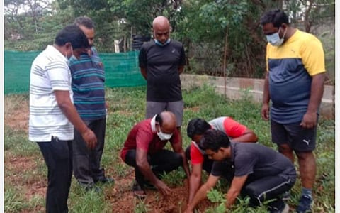 நடைப்பயிற்சியின் போது மதுரை நீதிமன்ற வளாகத்தில் மரக்கன்று நட்ட அமைச்சர் மா.சுப்பிரமணியன்