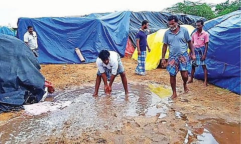 விழுப்புரம் அருகே காணைக்குப்பம் கிராமத்தில் உள்ள நேரடி நெல் கொள்முதல் நிலையத்தில் மழையில் நனைந்த நெல் மூட்டைகள். தேங்கிய மழை நீரை வாரி இறைக்கும் விவசாயிகள்.