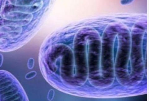 தஞ்சை மாவட்டத்தில் 5 பேருக்குக் கருப்புப் பூஞ்சை நோய் உறுதி