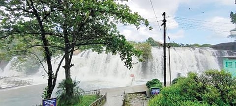 குமரியில் பெய்து வரும் தொடர் மழையால் திற்பரப்பு அருவியில் ஆர்ப்பரித்துக் கொட்டும் தண்ணீர்.