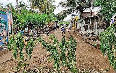 பிரான்மலை அருகே மதகுபட்டி ஊர் எல்லையில் வேப்பிலை கயிற்றால் வேலி அமைத்துள்ள கிராம மக்கள்.