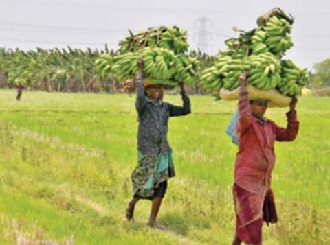 பிரதிநிதித்துவப் படம்.