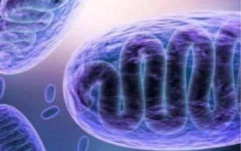 கோவை அரசு மருத்துவமனையில் கருப்பு பூஞ்சை தொற்று அறிகுறியுடன் 11 பேருக்கு சிகிச்சை