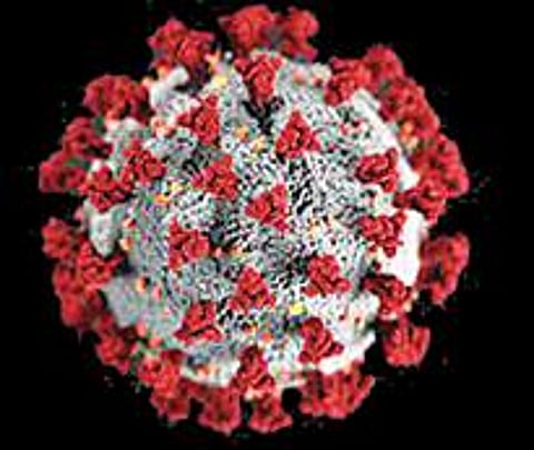 கடலூர், விழுப்புரம் மாவட்டங்களில் - கரோனாவுக்கு 18 பேர் உயிரிழப்பு :