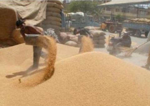 2020-21-ம் ஆண்டில் 305.44 மில்லியன் டன் உணவு தானியங்கள் உற்பத்தி: மத்திய அரசு இலக்கு