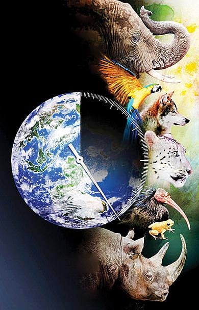 கவனம் ஈர்க்கும் உயிரினங்களை மட்டும் பாதுகாப்பது சரியா?