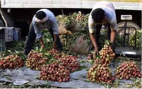 உள்ளூர்ச் சந்தையை உறுதிப்படுத்த வேண்டும்