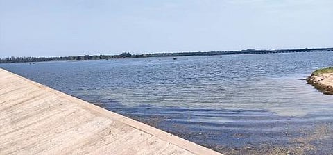 வாயலூர் தடுப்பணையில் அதிக அளவு தண்ணீருடன் கோடைக் காலத்திலும் ரம்மியமாக காட்சியளிக்கும் பாலாற்று படுகை.