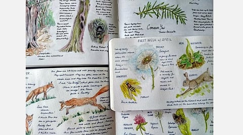 இயற்கை நாட்குறிப்பு வாரத்தில் பங்கேற்கலாமா?