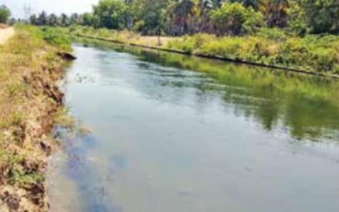 பிஏபி திட்டத்தில் பாசனத்துக்கு நீர் வழங்குவதில் முறைகேடு நடப்பதாக புகார்: வருவாய்த்துறை அறிக்கை சமர்ப்பிக்க போலீஸார் உத்தரவு