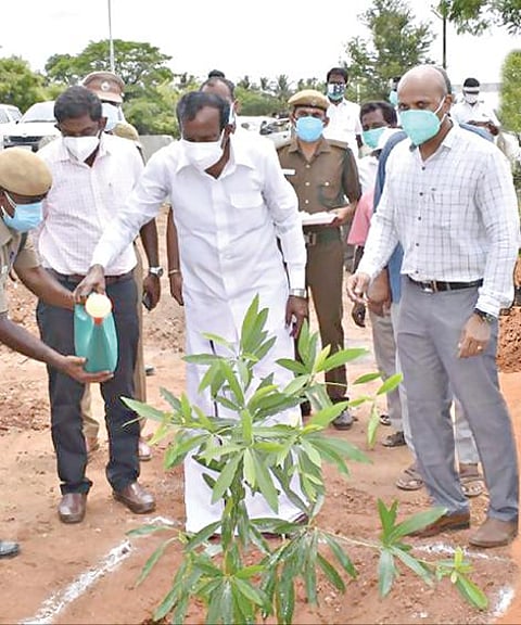 முன்னாள் முதல்வர் கருணாநிதி பிறந்ததினத்தையொட்டி, பெருந்துறை சிப்காட் வளாகத்தில் நடந்த விழாவில் அமைச்சர் சு.முத்துசாமி மரக்கன்றுகளை நட்டு வைத்தார்.