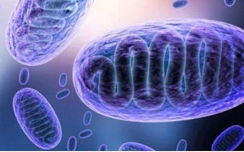 பிரதிநிதித்துவப் படம்