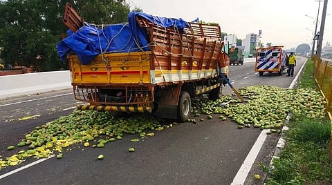 ஆம்பூர் அடுத்த சோலூர் பகுதியில் விபத்துக்குள்ளான சாலையில் இருந்து சிதறிய மாங்காய்கள்