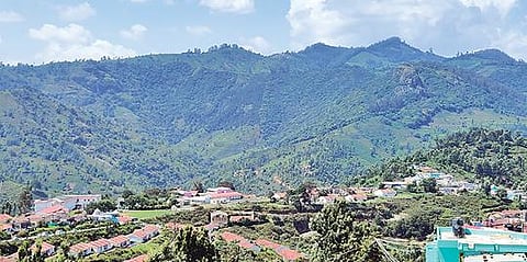 இயற்கையை பாதுகாக்க வீட்டிலிருந்தே குழந்தைகளுக்கு சுற்றுச்சூழல் கல்வி கற்பிப்பது அவசியம்