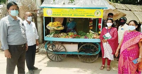 நாச்சிக்குப்பத்தில் வாகனங்கள் மூலம் விற்பனை செய்யப்படும் காய்கறி, பழங்களின் தரம், விலை குறித்து தோட்டக்கலைத்துறை அலுவலர்கள் ஆய்வு செய்தனர்.