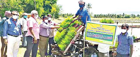கோபியை அடுத்த மேவானி கிராமத்தில் நெல் இயந்திர நடவுப் பணியினை வேளாண் இணை இயக்குநர் எஸ்.சின்னசாமி தொடங்கி வைத்தார்.