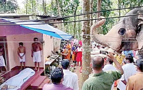 தன்னை வளர்த்த பாகனின் மறைவுக்கு நேரில்வந்து அஞ்சலி செலுத்திய யானை.