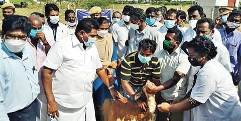 தூத்துக்குடி மாவட்டம் ஆறுமுகநேரியில் நடைபெற்ற நிகழ்ச்சியில் செம்மறி ஆடுகளுக்கு அம்மை நோய் தடுப்பூசி போடும் பணியை அமைச்சர் அனிதா ஆர்.ராதாகிருஷ்ணன் தொடங்கி வைத்தார்.