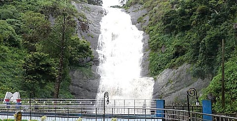 கொடைக்கானல் மலைப்பகுதியில் தொடர் மழை காரணமாக நீர்வரத்து அதிகரித்துள்ள வெள்ளி நீர்வீழ்ச்சி.