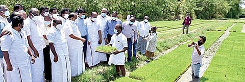 தஞ்சாவூர் மாவட்டம் களிமேடு கிராமத்தில் குறுவை சாகுபடிக்காக அமைக்கப்பட்டுள்ள செம்மை நெல் சாகுபடி முறை நாற்றங்காலை பார்வையிடுகிறார் வேளாண்மைத் துறை அமைச்சர் எம்.ஆர்.கே.பன்னீர்செல்வம். உடன், அரசு தலைமைக் கொறடா கோவி.செழியன் மற்றும் எம்.பி, எம்எல்ஏக்கள், வேளாண் அதிகாரிகள் உள்ளிட்டோர்.