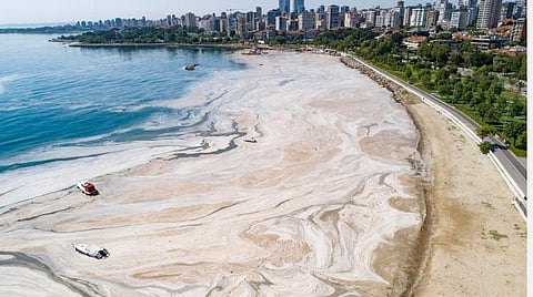 துருக்கியில் கடல் சளி ஆபத்து: காலநிலை மாற்றத்தின் அடுத்த அடி