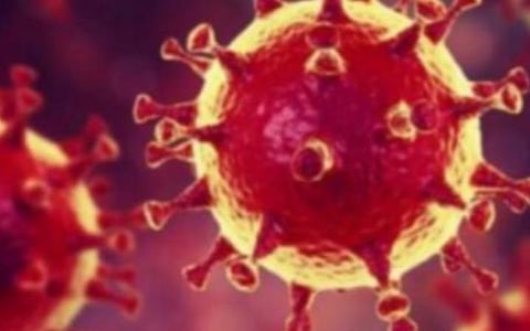 குறையும் தொற்று; இயல்புக்கு திரும்பும் மதுரை: மொத்த கரோனா பாதிப்பு 68 ஆயிரம்