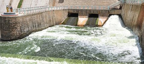 கிருஷ்ணகிரி அணைக்கு நீர்வரத்து அதிகரித்துள்ளதால் நேற்று சிறிய மதகின் வழியாக விநாடிக்கு 348 கனஅடி தண்ணீர் ஆற்றில் திறந்துவிடப்பட்டுள்ளது. படம்: எஸ்.கே.ரமேஷ்