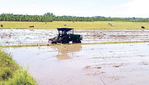 தூத்துக்குடி மாவட்டம் செய்துங்கநல்லூர் பகுதியில் கார் சாகுபடிக்காக வயலில் டிராக்டர் மூலம் உழவுப் பணி நடைபெறுகிறது.