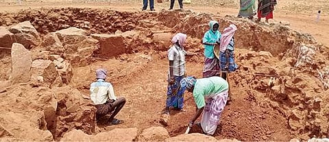 தூத்துக்குடி மாவட்டம் சிவகளை பகுதியில் உள்ள மூலக்கரையில் அகழாய்வு பணிகள் மீண்டும் தொடங்கியுள்ளன.