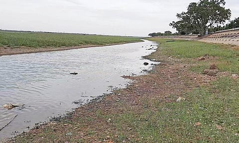 வறண்டுள்ள வீராணம் ஏரி.