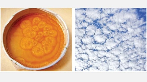 அறிவுக்கு ஆயிரம் கண்கள் 9: கொதிக்கும் எண்ணெய்யும் மேக வடிவமாதிரிகளும்