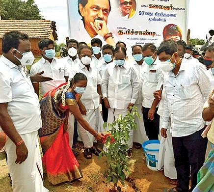 தி.மலை அடுத்த வள்ளிவாகை ஊராட்சியில் கருணாநிதியின் 98-வது பிறந்த நாளையொட்டி, 1,000 மரக்கன்றுகள் நடும் திட்டத்தை துணை சபாநாயகர் கு.பிச்சாண்டி தொடங்கி வைத்தார்.