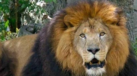 பிரதிநிதித்துவப் படம்.