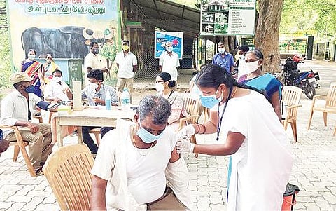 வேலூர் அடுத்த அமிர்தி வன உயிரியல் பூங்காவில் பணிபுரியும் ஊழியர்களுக்கு நேற்று கரோனா தடுப்பூசி முகாம் நடைபெற்றது.