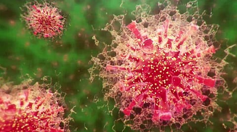 புதுச்சேரியில் 295 பேருக்கு கரோனா தொற்று: மேலும் 6 பேர் உயிரிழப்பு