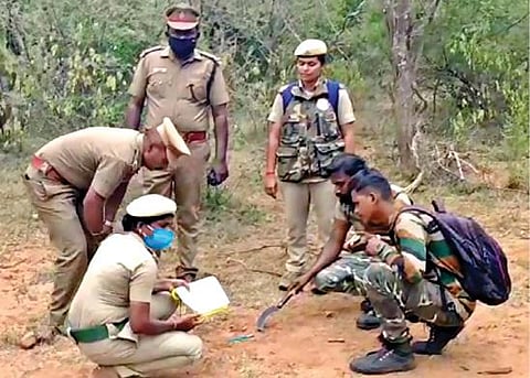 சத்தியமங்கலம் புலிகள் காப்பகப் பகுதியில் வனவிலங்குகள் கணக்கெடுப்புப் பணியில் ஈடுபட்டுள்ள வனக்குழுவினர்.