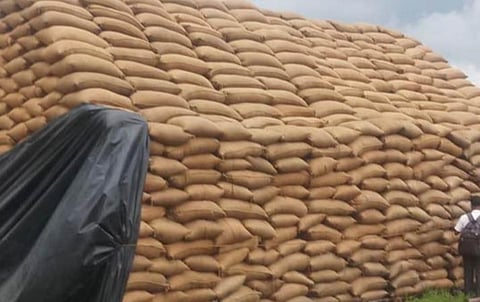 நடமாடும் நெல் கொள்முதல் நிலையங்கள்: எதிர்நிற்கும் சவால்கள்