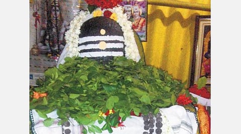 துலாம், விருச்சிகம், தனுசு; வார ராசிபலன்கள்; ஜூன் 24 முதல் 30ம் தேதி வரை