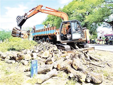 திருச்செந்தூர் - கல்லிடைக்குறிச்சி இடையே அமைக்கப்படும் தொழில் வழித்தடத்துக்காக செய்துங்கநல்லூர் பகுதியில் சாலையோரம் இருந்த பழமையான மரங்கள் வெட்டி அகற்றப்பட்டுள்ளன.