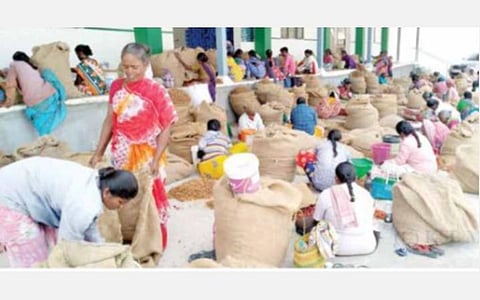 விளாத்திகுளம், புதூர் பகுதியில் மிளகாய் பயிரிட்ட விவசாயிகள் ஏமாற்றம்: வத்தலுக்கு நல்ல விலை இருந்தும் மகசூல் குறைந்தது