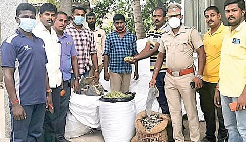 பறிமுதல் செய்த சுறா பீலி, கடல் அட்டை, ஏலக்காயுடன் தேவிபட்டினம் மெரைன் போலீஸார்.