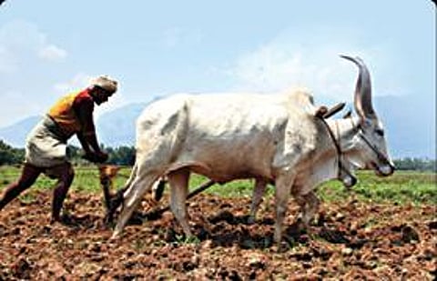 விவசாயத் தரவுத் திரள் என்ன தரவிருக்கிறது?