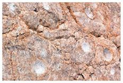 தூத்துக்குடி மாவட்டம் வசவப்பபுரம் பரம்பு பகுதியில் காணப்படும் பாறைக்கிண்ணங்களை பார்வையிடும் தொல்லியல் ஆர்வலர்கள். (உள்படம்) வசவப்பபுரம் பரம்பு பகுதியில் காணப்படும் பாறைக்கிண்ணங்கள்.