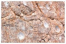 வசவப்பபுரம் பரம்பு பகுதியில் காணப்படும் பாறைக்கிண்ணங்கள்.