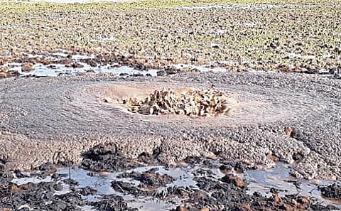 மன்னார்குடி அருகே கோட்டூர் ஒன்றியம் பனையூரில் நேற்று குழாயில் உடைப்பு ஏற்பட்டு வெளியேறியதால், விளைநிலம் முழுவதும் பரவியுள்ள கச்சா எண்ணெய்.