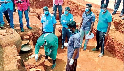 சிவகளையில் அகழாய்வுப் பணியில் கண்டெடுக்கப்பட்ட முதுமக்கள் தாழிகளை திறந்து, அவற்றில் உள்ள எலும்புகளை மரபணு சோதனைக்காக சேகரிக்கும் பணியில் ஈடுபட்ட மதுரை காமராஜர் பல்கலைக்கழக ஆய்வுக் குழுவினர்.