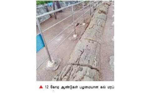 பெரம்பலூர் அருகே சாத்தனூரில் உள்ள தொன்மைவாய்ந்த கல்மரப் பூங்காவை மேம்படுத்தி சுற்றுலா மையமாக்க வேண்டும்: பொதுமக்கள், சமூக ஆர்வலர்கள் வலியுறுத்தல்